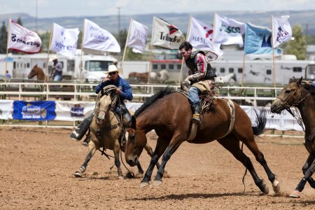 Bronco horse man photo