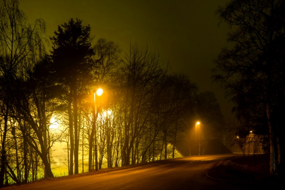 Trees around Brastad soccer arena in fog (19)