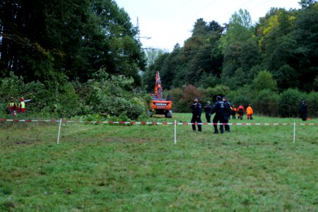 Tree cutting at Maulbach forest 2020-10-05 73