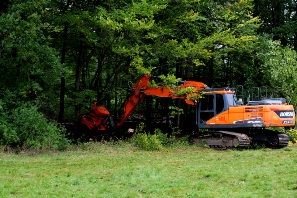Tree cutting at Maulbach forest 2020-10-05 55