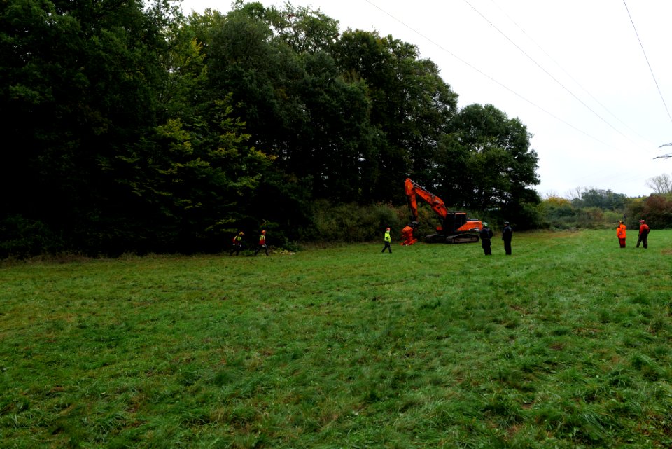 Tree cutting at Maulbach forest 2020-10-05 53