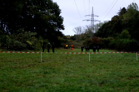 Tree cutting at Maulbach forest 2020-10-05 74