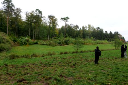 Tree cutting at Maulbach forest 2020-10-05 38