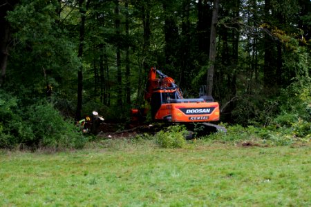 Tree cutting at Maulbach forest 2020-10-05 58