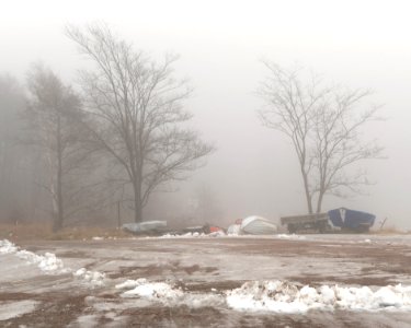 Trees and small boats in fog at Holländaröd