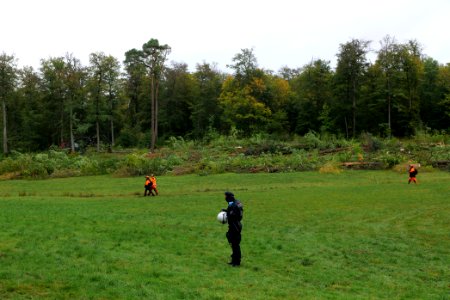 Tree cutting at Maulbach forest 2020-10-05 49