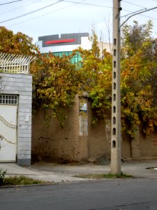 Tree - building - nishapur 3