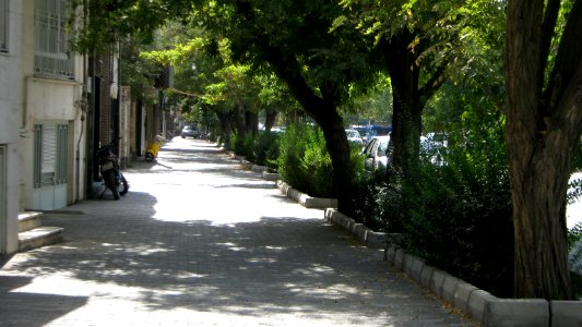 Tree - houses - sidewalk - Nishapur 16
