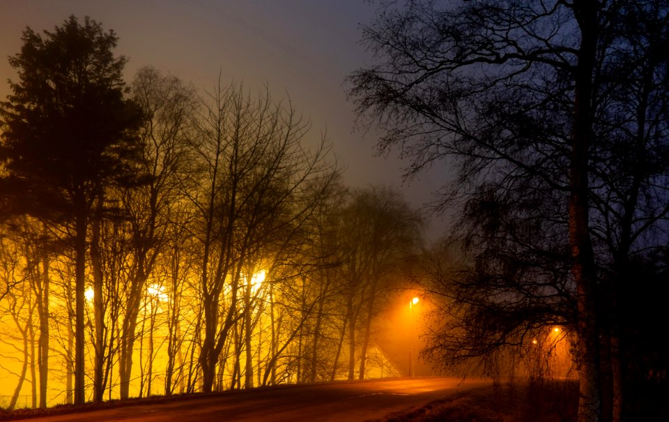 Trees around Brastad soccer arena in fog (4)