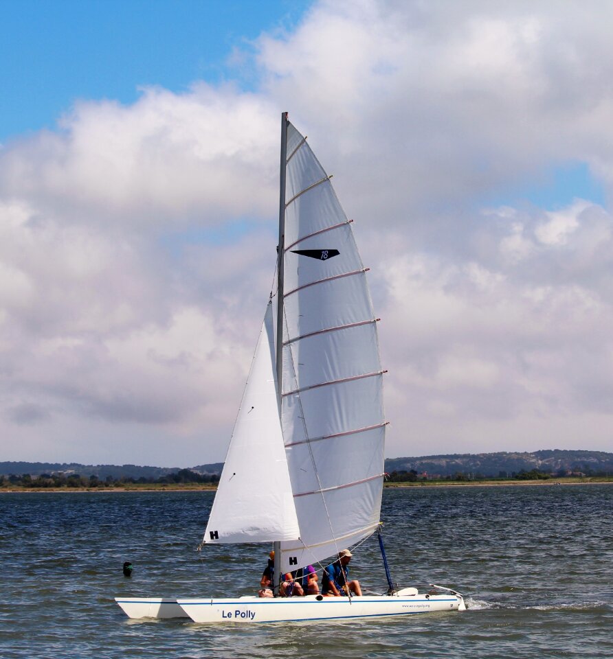 Browse sailing sail
