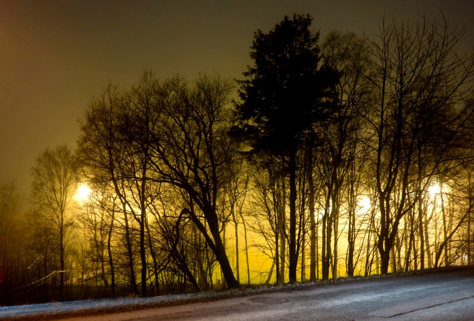 Trees around Brastad soccer arena in fog (11)