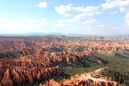 Trees and Hoodoos at Bryce Canyon