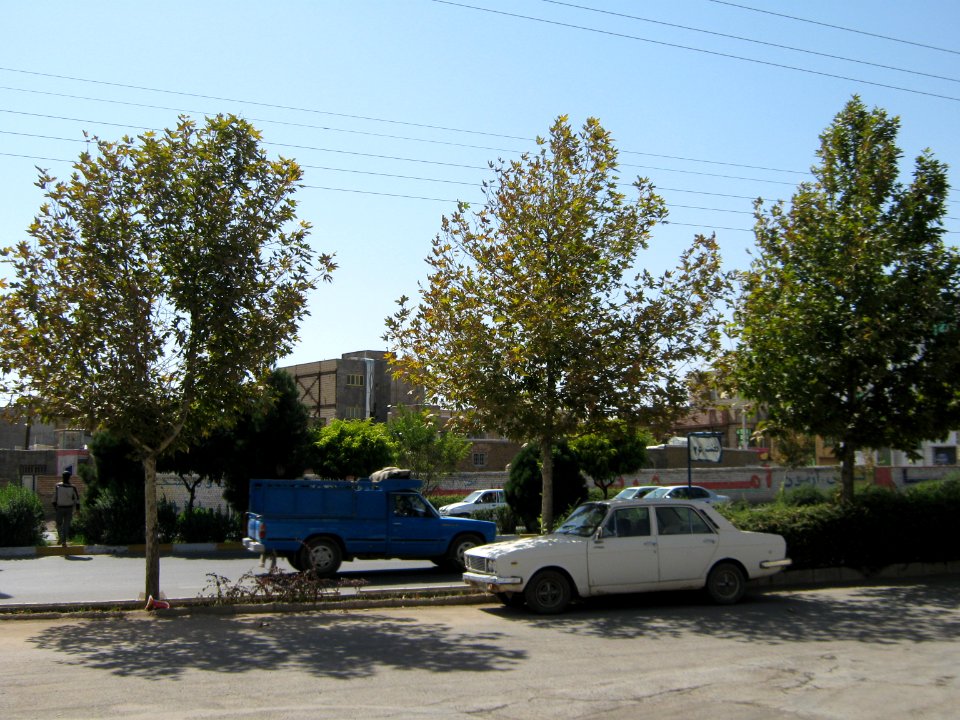 Trees in Amir Kabir and Be'sat blv - Nishapur 18