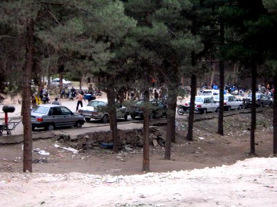 Trees - Ibrahimi st - Nishapur 1