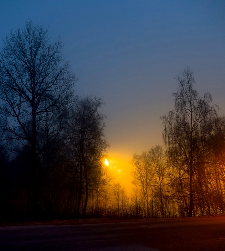 Trees around Brastad soccer arena in fog (1)