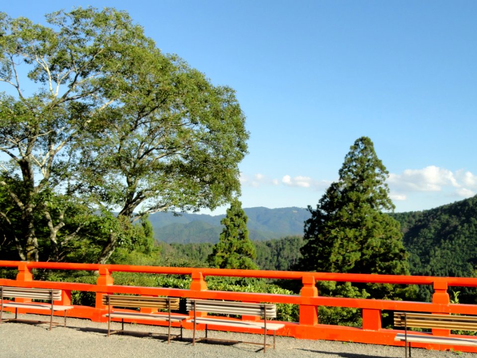 Trees - Kurama-dera - Kyoto - DSC06694