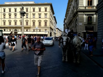 Trasporto a cavallo - FI 10