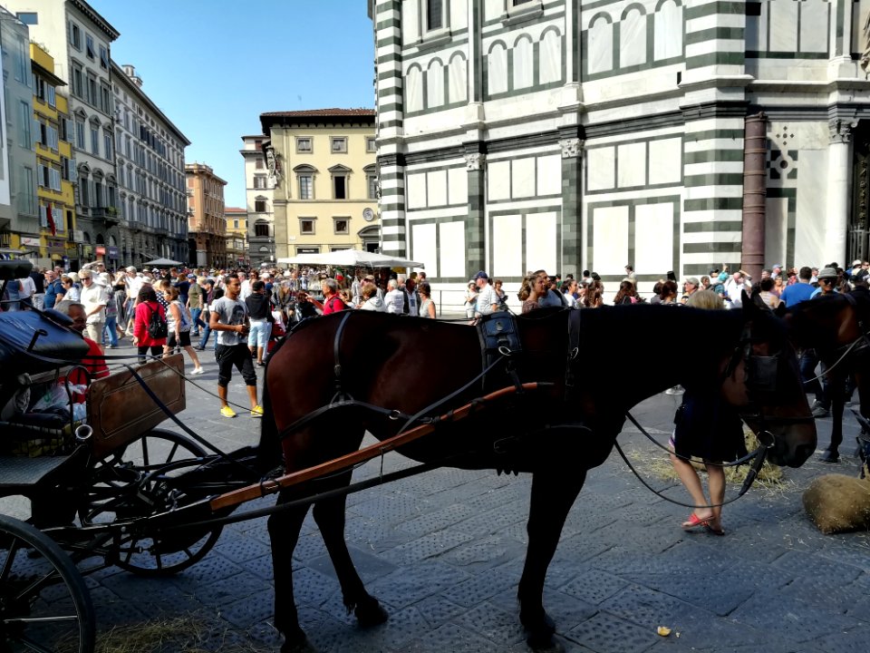 Trasporto a cavallo - FI 03