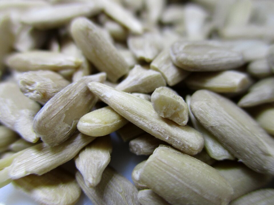 Vegetarian foods food
