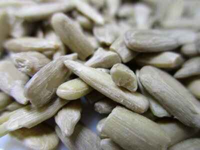 Vegetarian foods food