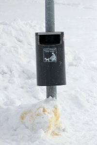Trash Bin Hollihaka Park Oulu 20130315