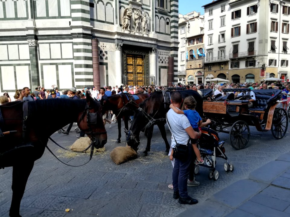 Trasporto a cavallo - FI 04