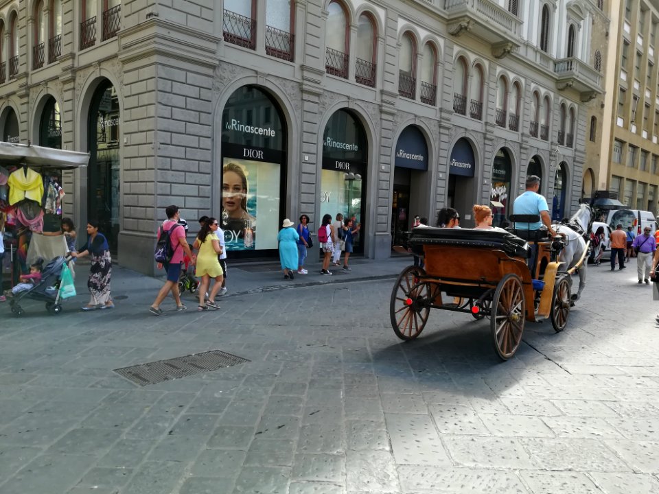 Trasporto a cavallo - FI 06