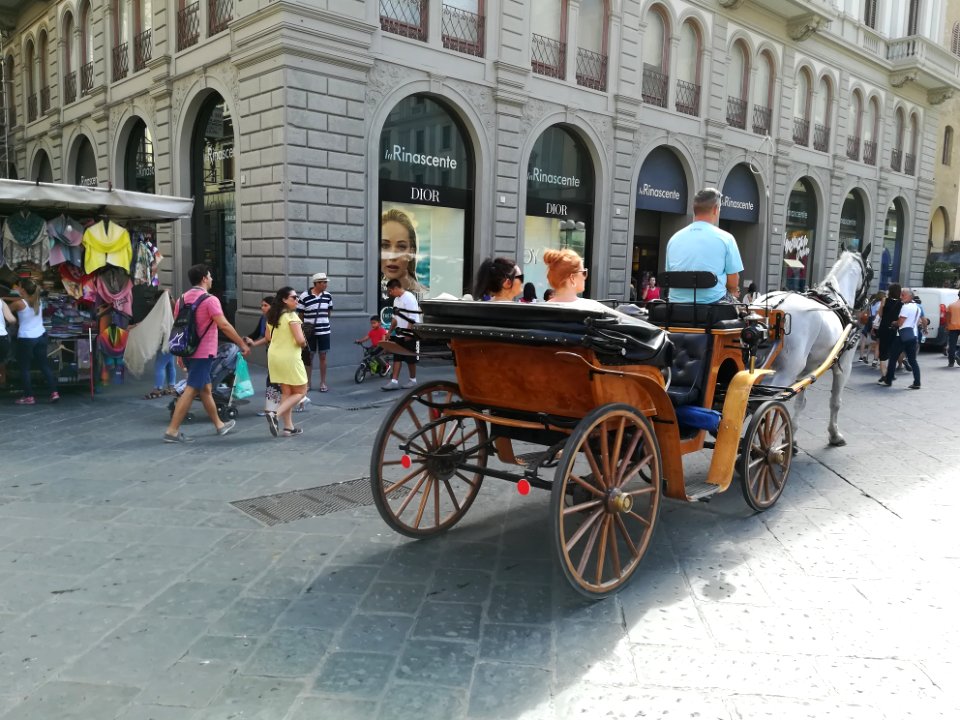 Trasporto a cavallo - FI 05