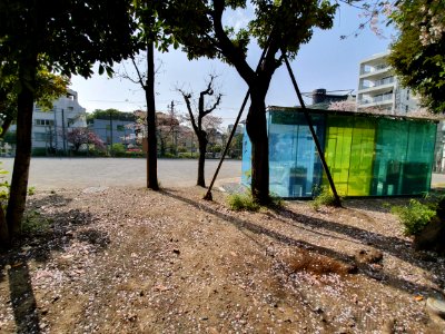 Transparent toilets at Harunogawa community park, locking the door makes the walls opaque 4