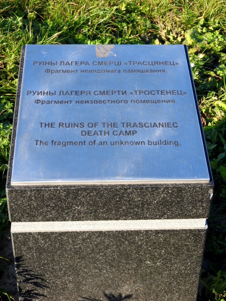 Trascianiec extermination camp 33