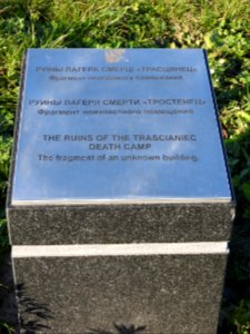 Trascianiec extermination camp 33