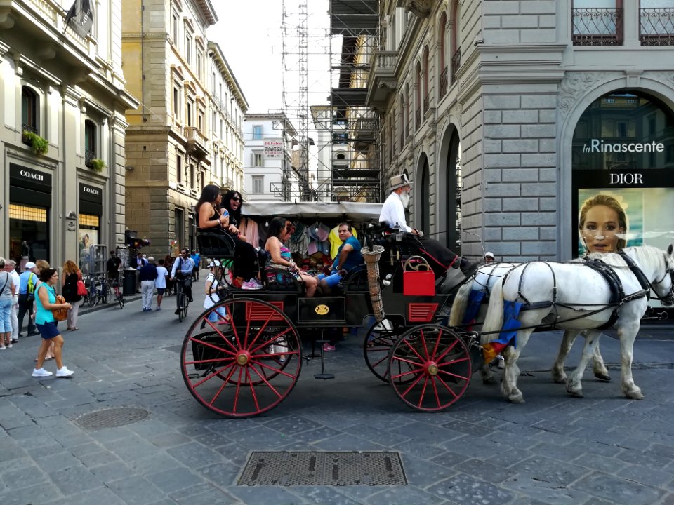 Trasporto a cavallo - FI 09