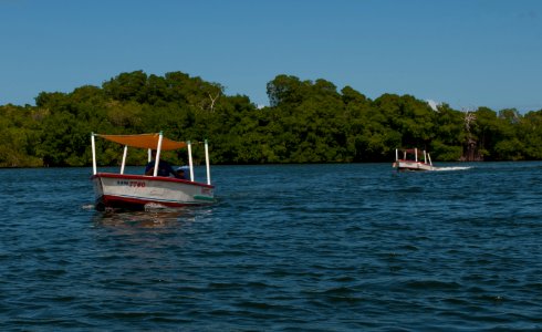 Transport in La Restinga Lagoon 2