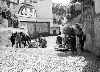 Transport met door paarden getrokken sledes, Bestanddeelnr 255-9587 photo