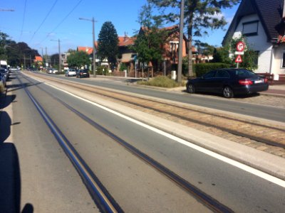 Tram track on Florent Pauwelslei (2)