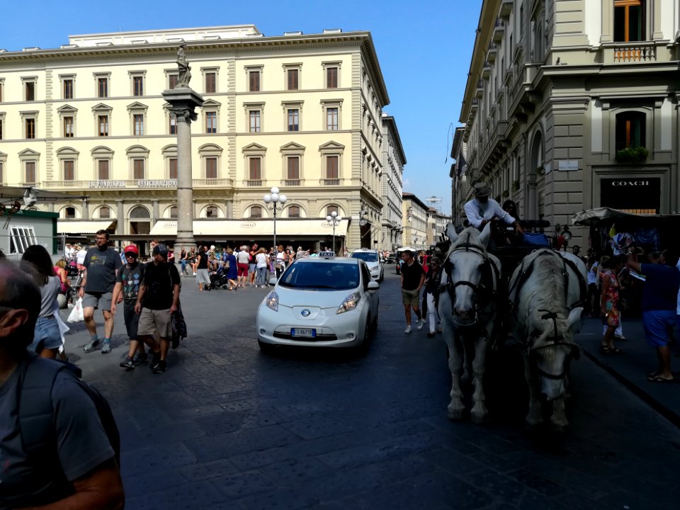 Trasporto a cavallo - FI 11