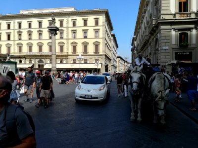 Trasporto a cavallo - FI 11