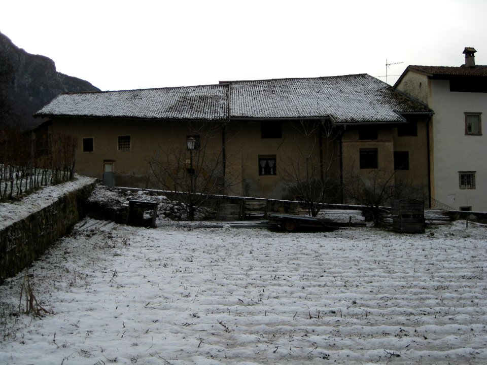 Trattmann North