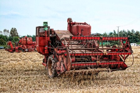 Harvest rural field photo