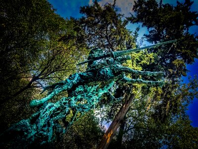 Green nature wood