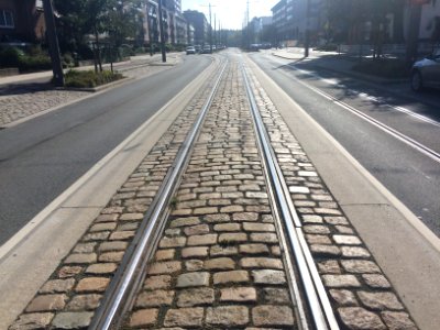 Tram track on Florent Pauwelslei (3)