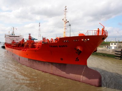 Trans Borg - IMO 9221669, Zandvlietsluis, Port of Antwerp pic7