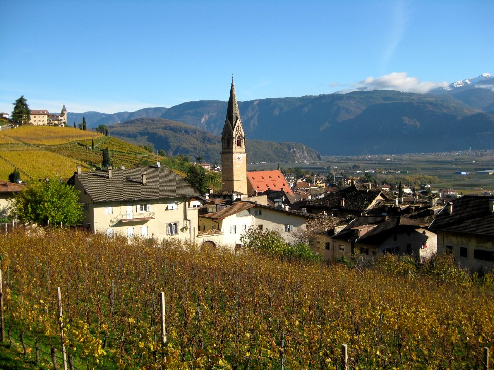 Tramin 1