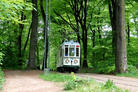 Tramlijn Openluchtmuseum 76 2 photo