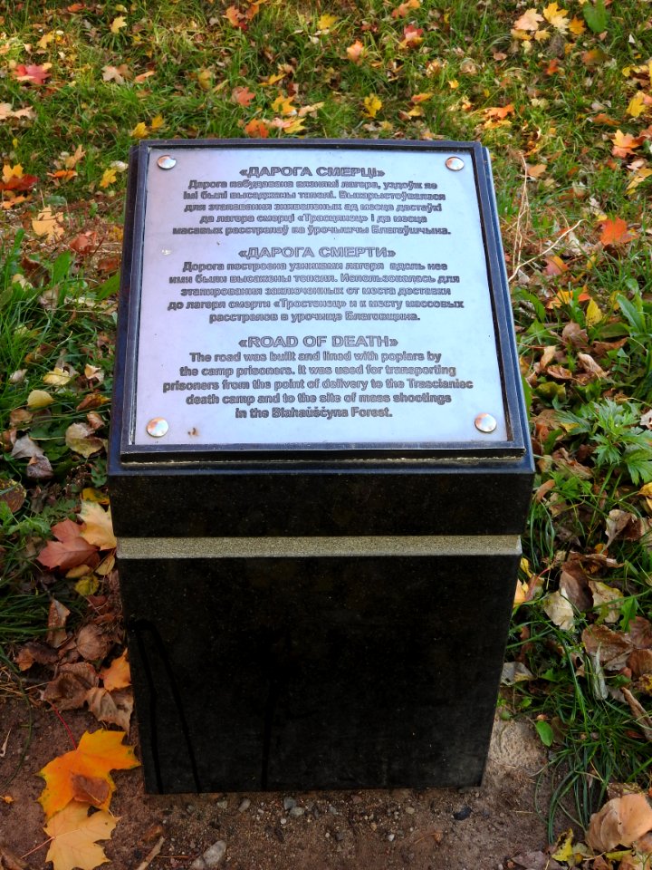Trascianiec extermination camp 4
