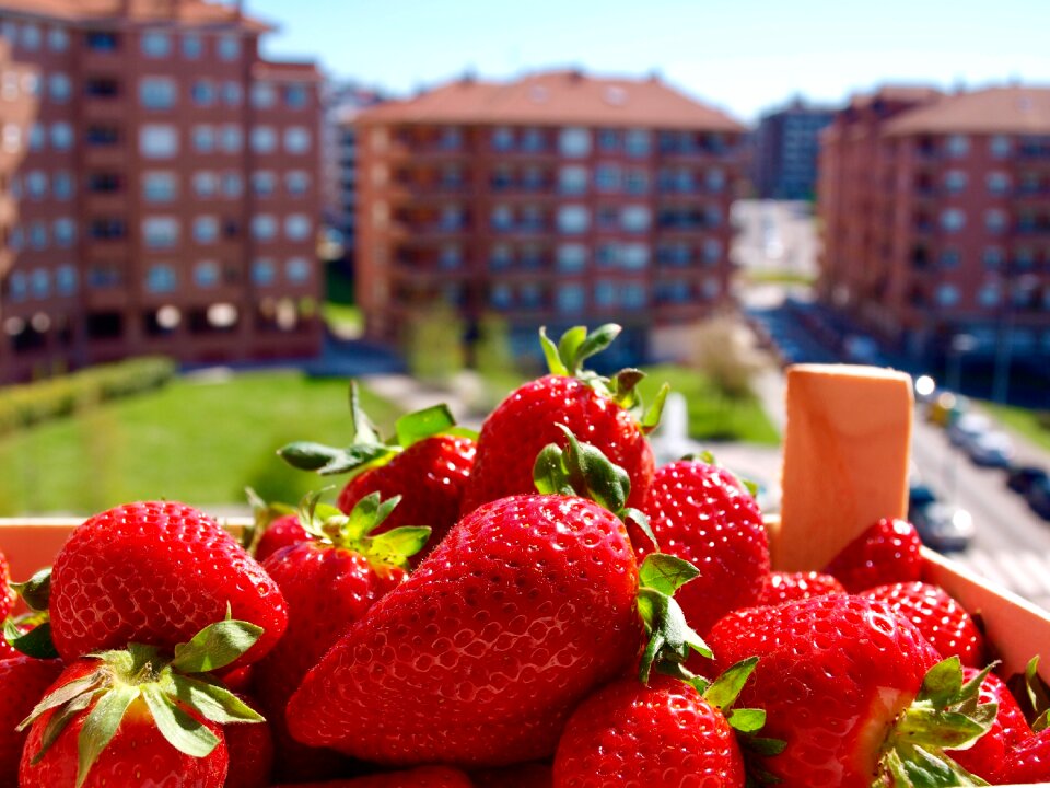 Strawberries summer fruit