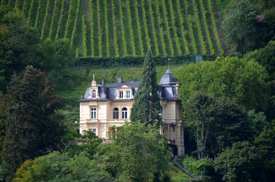 Trarbach, Villa Sonora (1)