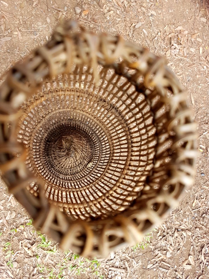 Traditional Manobo fish trap without lid (Bukidnon, Philippines) 02