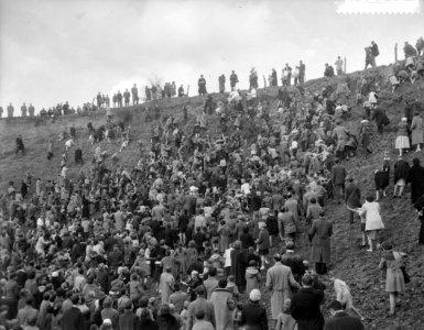 Traditioneel krombroodrapen op de Kollenberg te Sittard overzicht tijdens het br, Bestanddeelnr 910-2010