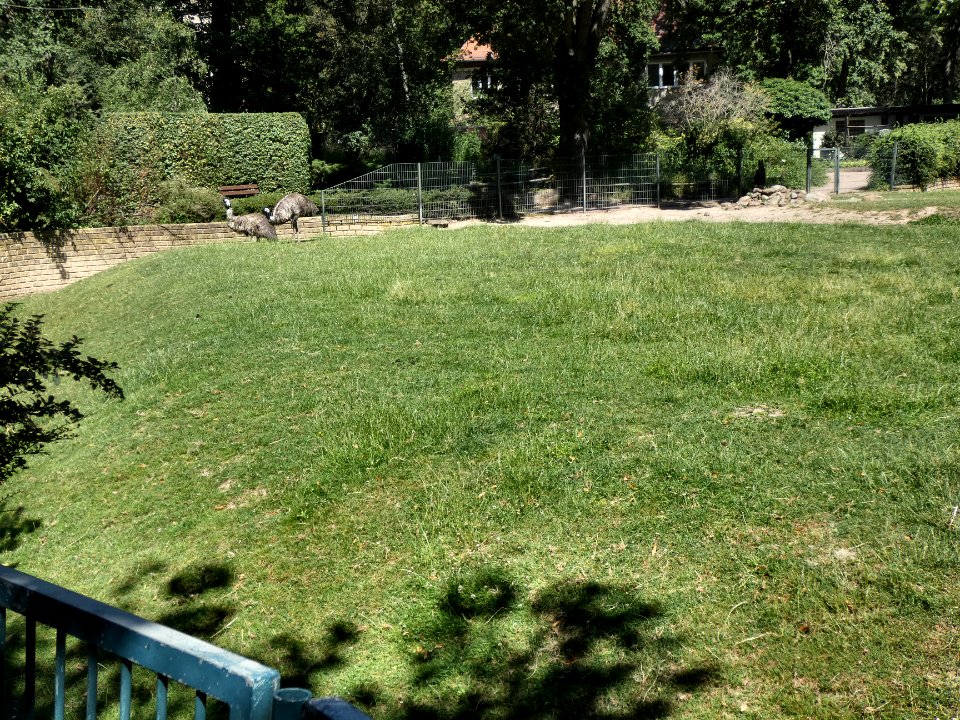 TP Dessau Anlage-Emus